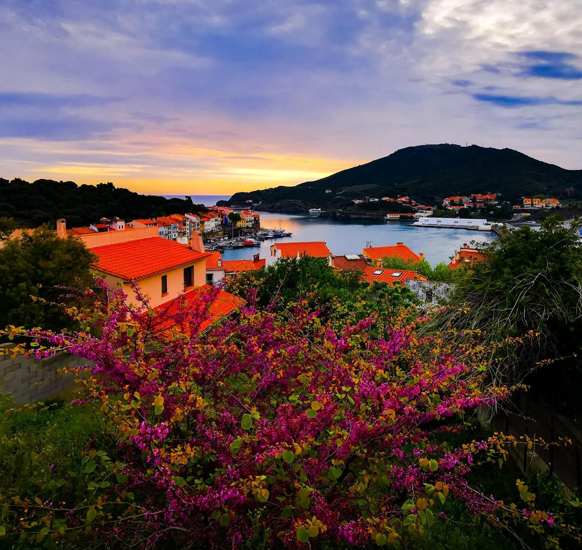 1Br Apartment T2 54M2 Onde Marine 2Nd Floor Lift Wifi Ac Parking Port Vendres Buitenkant foto